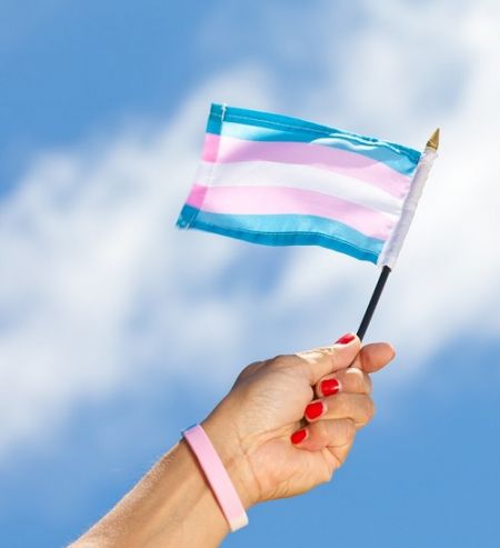 transgenderflag.jpg