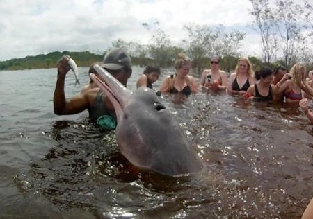 Natasha-and-her-study-colleagues-meet-pink-river-dolphins.jpg