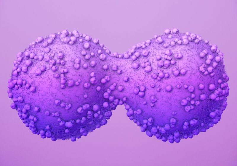 Cancer-Cell-Growth_1.jpg